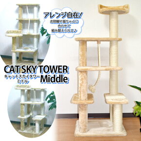 �����Хե�åץե�å� ����åȥ�������� Middle(�ߥɥ�) �����ܥ꡼