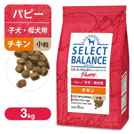 セレクトバランス パピー 子犬用 チキン 小粒 3kg RSL