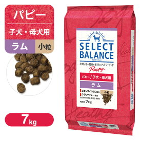 セレクトバランス パピー 子犬用 ラム 小粒 7kg