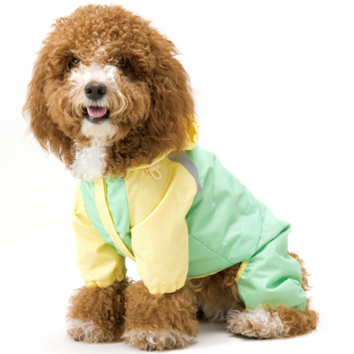 楽天市場 犬 服 ドッグウェア アスク ベチックアッシュ フルサポートレインウェア 4号 6号 小型犬 中型犬 用レインコート ドッグウエア フルカバータイプ 雨具 カッパ 梅雨対策 犬用品 ペット ペットグッズ ペット用品 Raincoat ペッツビレッジクロス