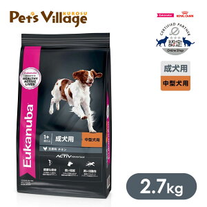 |Cgő10{I12/4 20:00`12/11 01:59܂Łb܂ƂߔłI[Jko ~fBA A_g p ^p 2.7kg