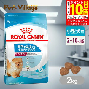 |Cgő10{I11/20 20:00`11/27 01:59܂Łb܂ƂߔłICJi SHN ~j ChA ps[ Ő鏬^̎qp 210܂ ̏d10kg܂ 2kg 