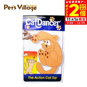 |CgSi2{I11/1bLbg_T[ L炵 vbc Cat Dancer