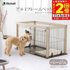 |CgSi2{I11/1bb`F A~t[ybgT[N 90-60 x[W pyRichellz [T[N P[W] ؖڒ ^ ^ 