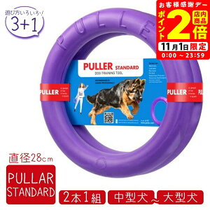 PULLER STANDARD v[ X^_[h E^p 2Zbg