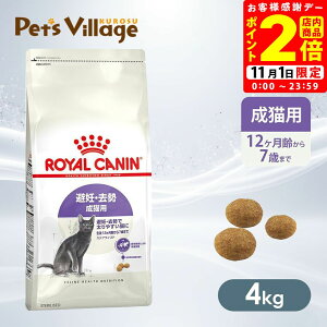 ܂ƂߔłICJi FHN XeACYh DE Lp 127΂܂ 4kg ͂ сyROYAL CANINz[Lbgt[h] FICVbv