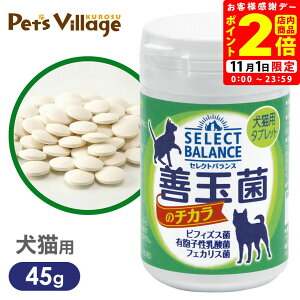 |CgSi2{I11/1bZNgoX Pʋۂ̃`J L^ubg 45g