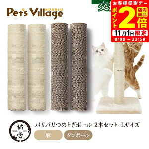 |CgSi2{I11/1bL oo߂Ƃ|[ L p 2{Zbg  _{[ Lpynecoichiz [܂Ƃ]