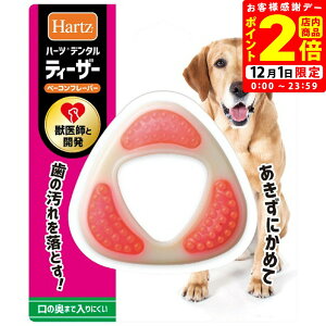 |CgSi2{I12/1bn[c f^ eB[U[ L ^`^p