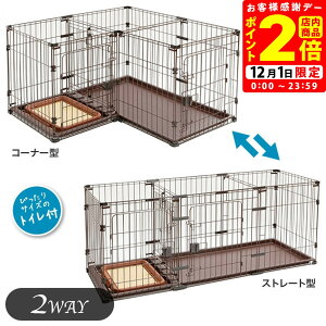 |CgSi2{I12/1byeBI gĈł hbO[T[N 2Way pypetioz [T[N P[W] gCpXy[Xt 