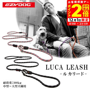 |CgSi2{I12/1bEZYDOG C[W[hbO J[h