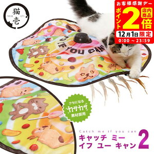 |CgSi2{I12/1bL Lb`E~[ECtE[EL2 Lpynecoichiz []