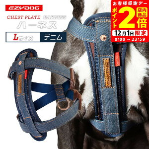 |CgSi2{I12/1bC[W[hbO EZYDOG n[lX L fj 