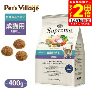 |CgSi2{I12/1b FX j[g Vv Lp g`L 400g ͂  yVv(Supremo)z[Lbgt[h]