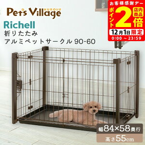 |CgSi2{I12/1bb`F ܂肽݃A~ybgT[N 90-60 uE pyRichellz [T[N P[W] ^ ^