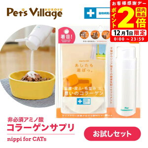 |CgSi2{I12/1bjbs VڂB Lp Zbg