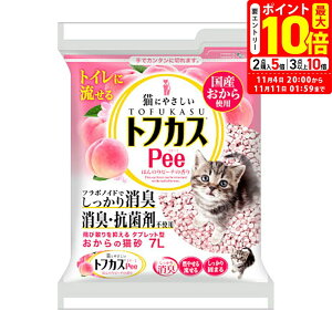 |Cgő10{I11/4 20:00`11/11 01:59܂ŁbyOebN ̔L gtJXPee gtJXs[ 7L LpyPeez[gCpi] Y L s[`̍ An