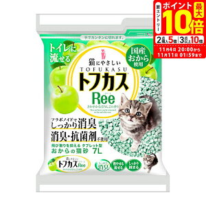 |Cgő10{I11/4 20:00`11/11 01:59܂ŁbyOebN ̔L gtJX[ 7L LpyReez[gCpi] Y L 񂲂̍ An