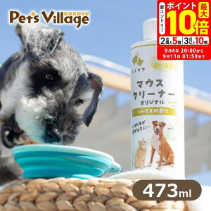 X[p[Z[ԌI|Cgő10{IKPS }EXN[i[ 473ml