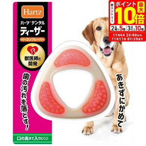 |Cgő10{I11/4 20:00`11/11 01:59܂Łbn[c f^ eB[U[ L ^`^p