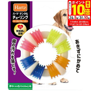 |Cgő10{I11/4 20:00`11/11 01:59܂Łbn[c f^ `[O x[Rt[o[ L ^`^p