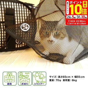 |Cgő10{I11/4 20:00`11/11 01:59܂ŁbL lbg Lp ynecoichiz[łpi] ܐ؂ Vv[ hЃObY