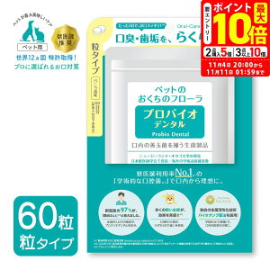 |Cgő10{I11/4 20:00`11/11 01:59܂Łbv~A[h voCI f^PET 60