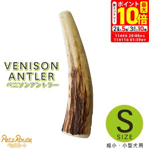 |Cgő10{I11/4 20:00`11/11 01:59܂Łbybc[g xj\Ag[ p S