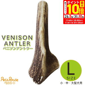 |Cgő10{I11/4 20:00`11/11 01:59܂Łbybc[g xj\Ag[ p L