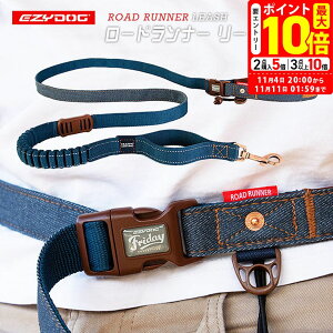 |Cgő10{I11/4 20:00`11/11 01:59܂ŁbEZYDOG C[W[hbO [hi[ fj 