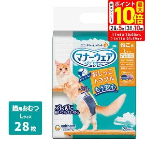 |Cgő10{I11/4 20:00`11/11 01:59܂Łbj`[ }i[EFA ˂p LTCY 28