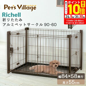 |Cgő10{I11/4 20:00`11/11 01:59܂Łbb`F ܂肽݃A~ybgT[N 90-60 uE pyRichellz [T[N P[W] ^ ^