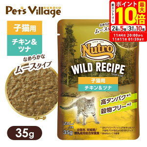 |Cgő10{I11/4 20:00`11/11 01:59܂ŁbFX j[g Lbg ChVs qLp `Lci Ȃ߂炩ȃ[X^Cv pE` ͂  yChVs(WILD RECIPE)z[L