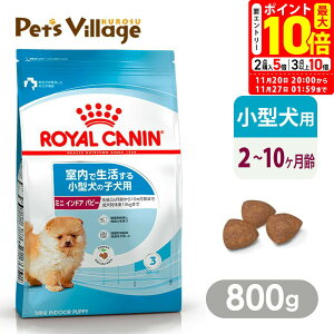 ܂ƂߔłICJi SHN ~j ChA ps[ Ő鏬^̎qp 210܂ ̏d10kg܂ 800g ͂ сyROYAL CANINz[hbOt[h] F