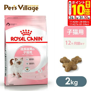 |Cgő10{I11/20 20:00`11/27 01:59܂Łb܂ƂߔłICJi FHN Lg ̎qLp 12܂ł̎qLp 2kg ͂ сyROYAL CANINz[Lbgt[h] FI