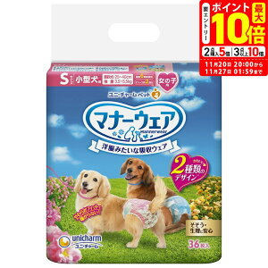 |Cgő10{I11/20 20:00`11/27 01:59܂Łbj`[ }i[EFA ̎qp S ^p 36