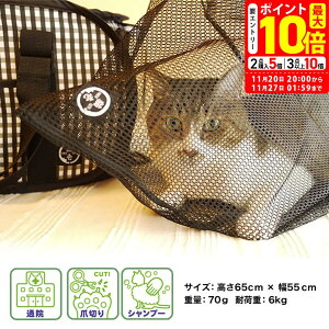 |Cgő10{I11/20 20:00`11/27 01:59܂ŁbL lbg Lp ynecoichiz[łpi] ܐ؂ Vv[ hЃObY