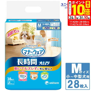 |Cgő10{I11/20 20:00`11/27 01:59܂Łbj`[ }i[EFA ԃIc M ^ ^p28