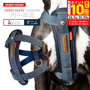 |Cgő10{I11/20 20:00`11/27 01:59܂ŁbC[W[hbO EZYDOG n[lX L fj 