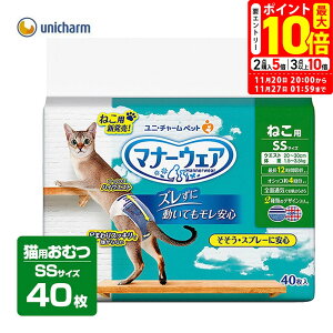 |Cgő10{I11/20 20:00`11/27 01:59܂Łbj`[ }i[EFA SSTCY 40