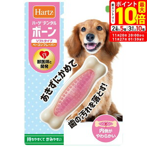 |Cgő10{I11/20 20:00`11/27 01:59܂Łbn[c f^gCY {[ \tg^Cv S ^p