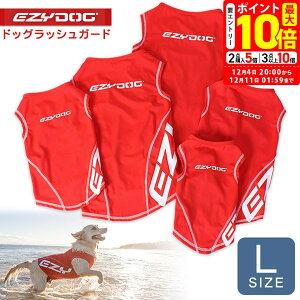 |Cgő10{I12/4 20:00`12/11 01:59܂ŁbC[W[hbO EZYDOG hbObVK[h L bh 