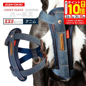 |Cgő10{I12/4 20:00`12/11 01:59܂ŁbC[W[hbO EZYDOG n[lX XXS fj 