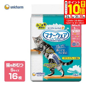 |Cgő10{I12/4 20:00`12/11 01:59܂Łbj`[ }i[EFA STCY 16