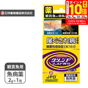 |Cgő10{I12/4 20:00`12/11 01:59܂Łbj`hE O[FS[h  2g×1