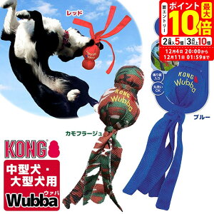 |Cgő10{I12/4 20:00`12/11 01:59܂ŁbROWp ROE@o ^E^p