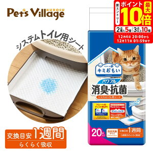 |Cgő10{I12/4 20:00`12/11 01:59܂ŁbGG[ L~ ptLER VXegCpV[g 1Tԗp