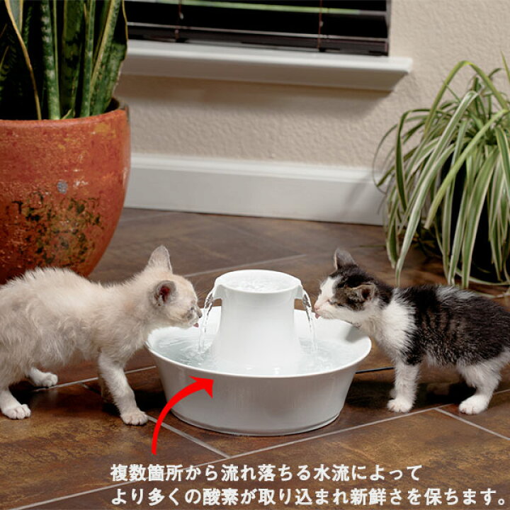 楽天市場】ドリンクウェル(Drinkwell) ペットファウンテン セラミックアバロン 【自動給水器/犬用給水器/猫用給水器/DRINKWELL/ ドリンクウエル】【犬用品/猫用品/ペットグッズ・ペット用品】【ラジオシステムズ】【PetSafe/ペットセーフ】【ペットファウンテン ... 楽天市場】ドリンクウェル(Drinkwell) ペットファウンテン セラミックアバロン 【自動給水器/犬用給水器/猫用給水器/DRINKWELL/ ドリンクウエル】【犬用品/猫用品/ペットグッズ・ペット用品】【ラジオシステムズ】【PetSafe/ペットセーフ】【ペットファウンテン ...