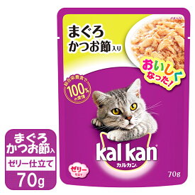 楽天市場 猫 パウチ 激安の通販