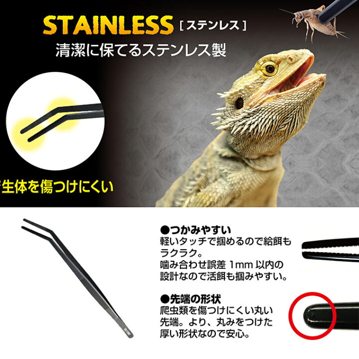 楽天市場 爬虫類用 ジェックス Gex セーフティ ピンセット ステンレス イグアナ カメレオントカゲ 蛇 ヘビ へび 亀 カメ かめ 餌付け エサ ステンレス製 ペッツビレッジクロス ペット通販